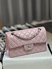 Chanel CF Lambskin Bodin Joyeux Light Pink Silver Hardware Size 23 cm - 3