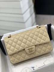 Chanel CF Lambskin Bodin Joyeux Apricot Light Gold Buckle Size 25 cm - 1