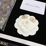 Dior Earrings 16 - 5