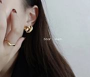 Celine Hollow Heart Earrings  - 5