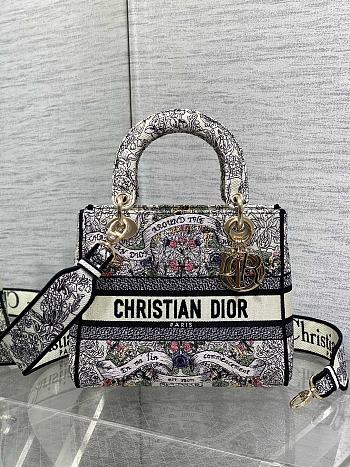 Dior Medium Lady D-Lite Bag 02 Size 24 x 11 x 20 cm