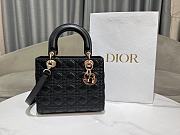 Dior Five-grid New Craft Double Embroidery Thread Black Size 24 x 20 x 11 cm - 1