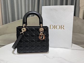 Dior Five-grid New Craft Double Embroidery Thread Black Size 24 x 20 x 11 cm