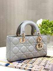 Dior D-Joy Bag Leather Gray Size 22 x 6 x 12 cm - 4