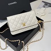 Chanel Small Gold Ball WOC Fortune Bag White Size 19.2 cm - 1