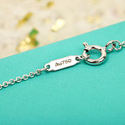 Tiffany & Co Necklace 02 - 4