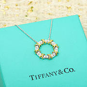 Tiffany & Co Necklace 02 - 5