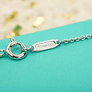 Tiffany & Co Necklace 02 - 6