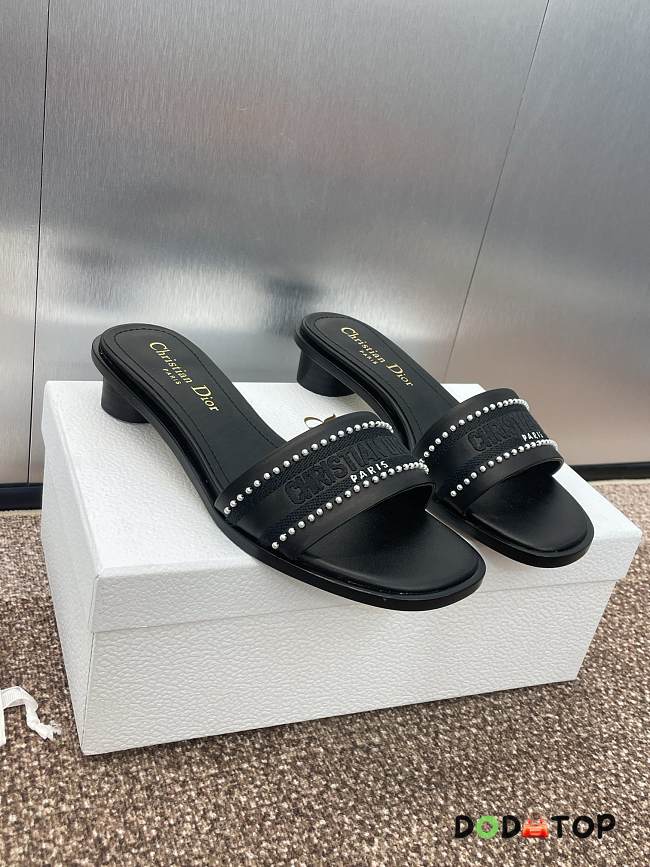 Dior Dway Flats Black - 1