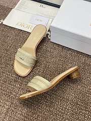 Dior Dway Flats Beige - 5