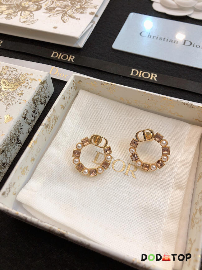 Dior Earrings 17 - 1