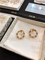 Dior Earrings 17 - 1