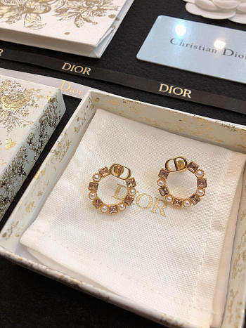 Dior Earrings 17