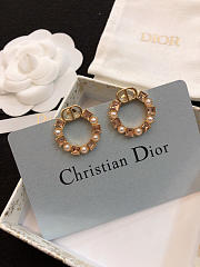 Dior Earrings 17 - 6