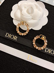 Dior Earrings 17 - 5