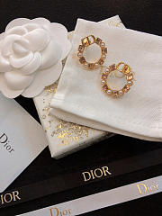 Dior Earrings 17 - 4