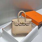 Hermes Mini Birkin 01 Togo Leather with Gold Bucket Size 20 cm - 6