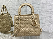 Dior Lady Medium Beige Leather Bag Size 24 x 20 x 11 cm - 5