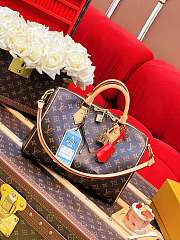 Louis Vuitton M11945 Speedy Soft 30 Crafty bag size 30 x 21 x 17 cm - 2