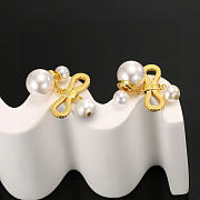 Dior Earrings5 - 4