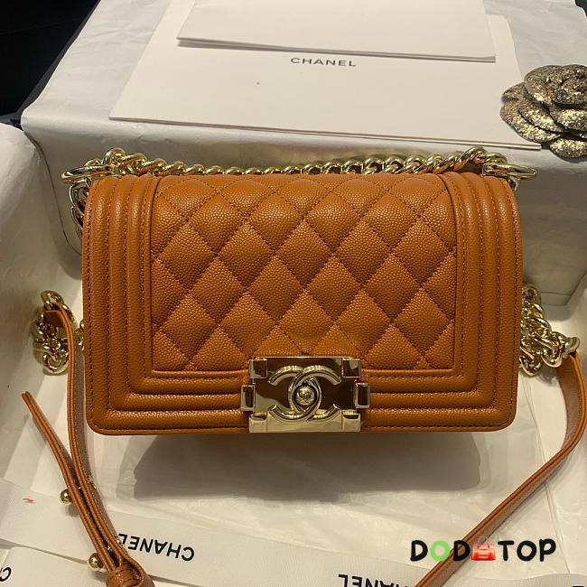 Chanel Leboy brown bag size 25cm - 1