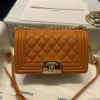 Chanel Leboy brown bag size 25cm