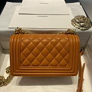 Chanel Leboy brown bag size 25cm - 4