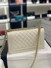 Chanel Leboy off white silver hardware size 25cm - 6