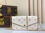 Louis Vuitton LV Pochette Felicie Eden bag size 21x12x3cm - 2