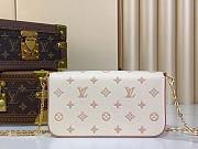 Louis Vuitton LV Pochette Felicie Eden bag size 21x12x3cm - 4