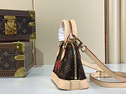 Louis Vuitton LV x TM Nano Alma bag size 18x12x8cm - 5