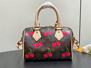 Louis Vuitton LV x TM Speedy Bandoulière 20 Cherry bag 20.5x13.5x12cm - 5