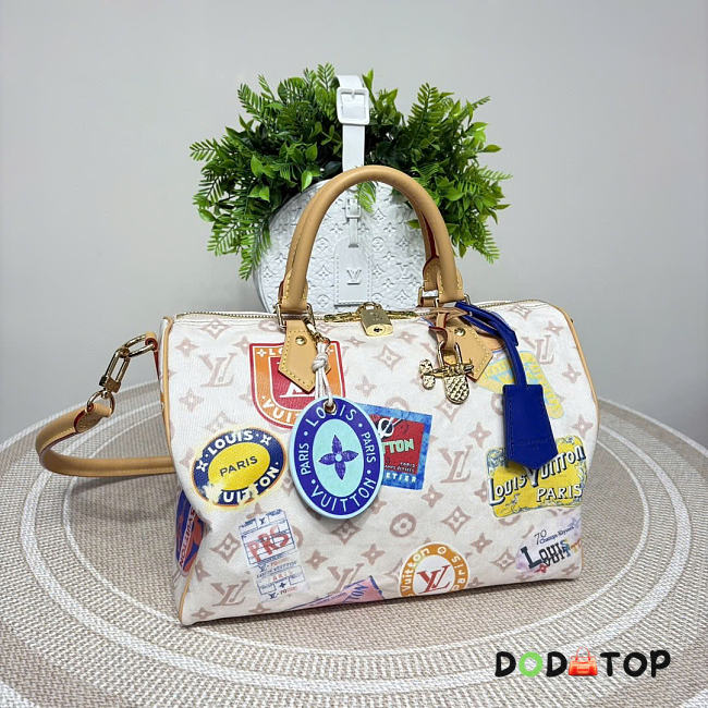 Louis Vuitton M14587 Speedy Soft 30 bag size 30 x 21 x 17 cm - 1