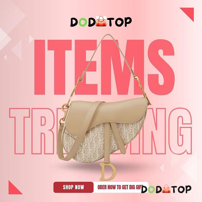 Dior Saddle beige bag size 25.5×20×6.5cm - 1