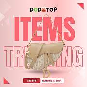 Dior Saddle beige bag size 25.5×20×6.5cm - 1