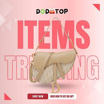 Dior Saddle beige bag size 25.5×20×6.5cm