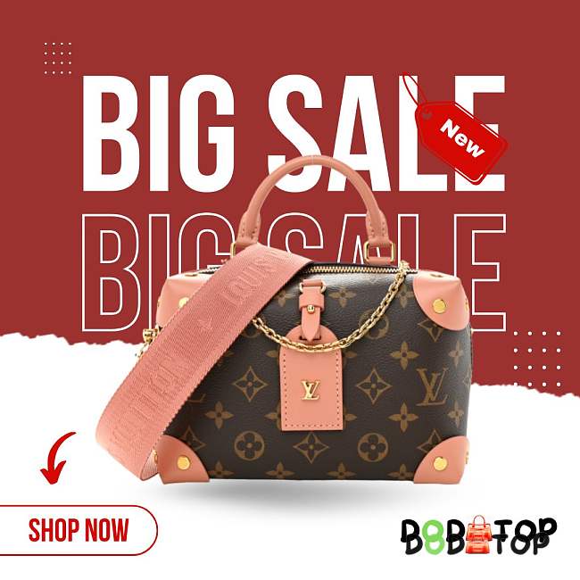 LOUIS VUITTON PETITE MALLE SOUPLE M45531 SIZE  20X12X9.5cm - 1