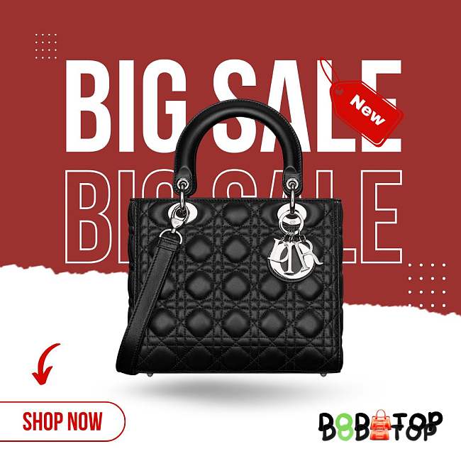  Lady Dior black bag size 24x20x11cm(Bonus gift – in description) - 1