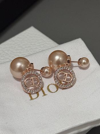 Dior Earrings - 23