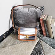 Celine Triomphe logo bag size 22.5x16.5x7.5cm - 1