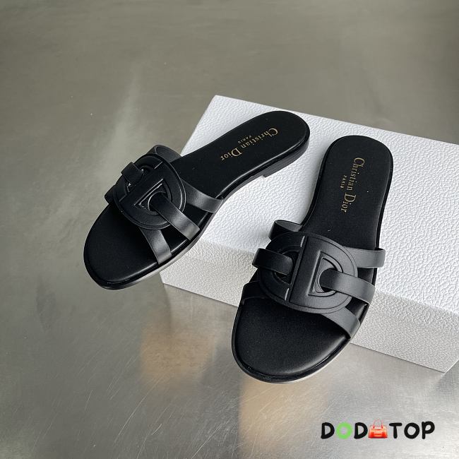 Dior slides - 02 - 1