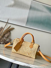 Louis Vuitton Speedy Bandoulière Raffia bag size 25 × 15 × 11 cm - 1
