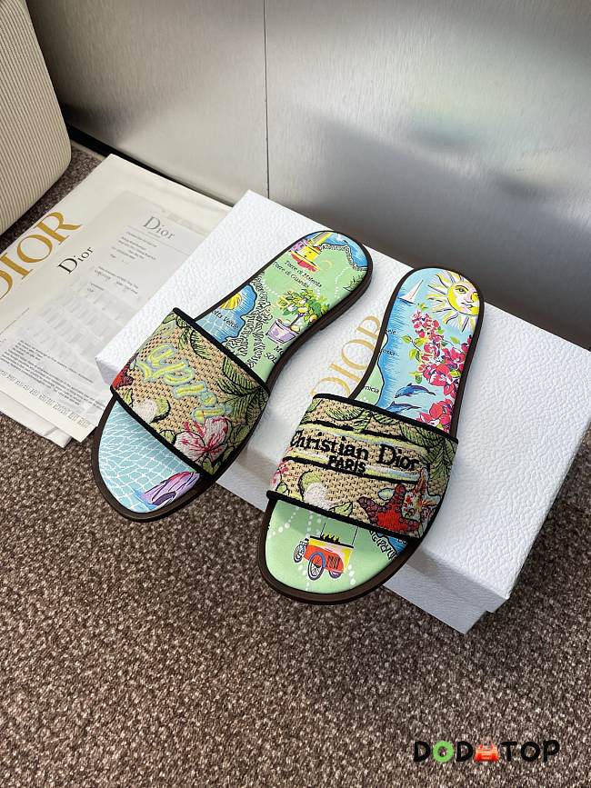 Dior Souvenir Dway Slide - 01 - 1