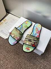 Dior Souvenir Dway Slide - 01 - 2