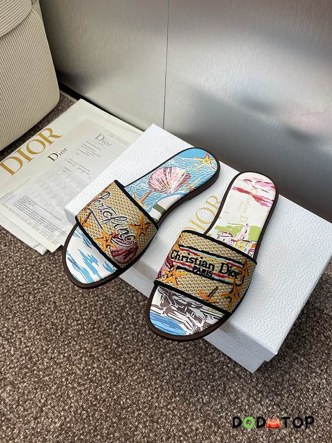 Dior Souvenir Dway Slide - 02 - 1