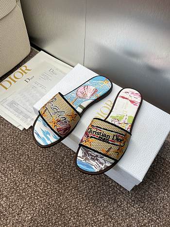 Dior Souvenir Dway Slide - 02