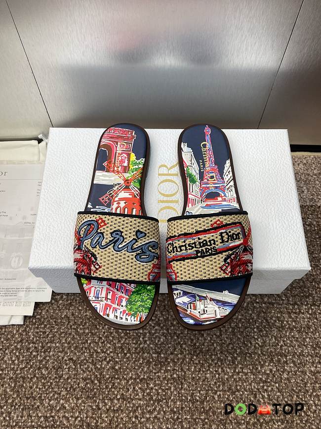 Dior Souvenir Dway Slide - 03 - 1