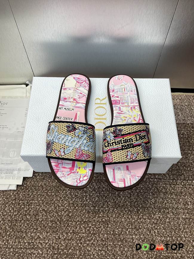 Dior Souvenir Dway Slide - 04 - 1
