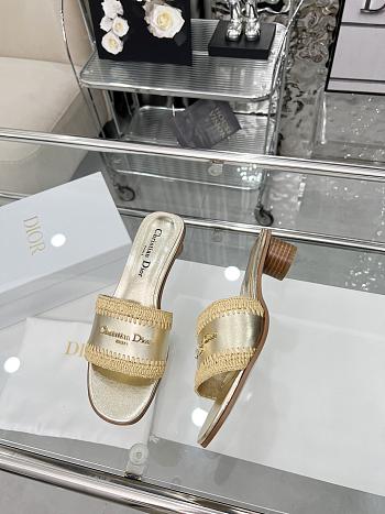 Dior slides gold - 02