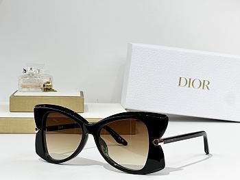 Dior Sunglasses 30